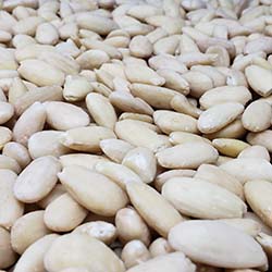 Almonds Blanched Whole 1 Lb 